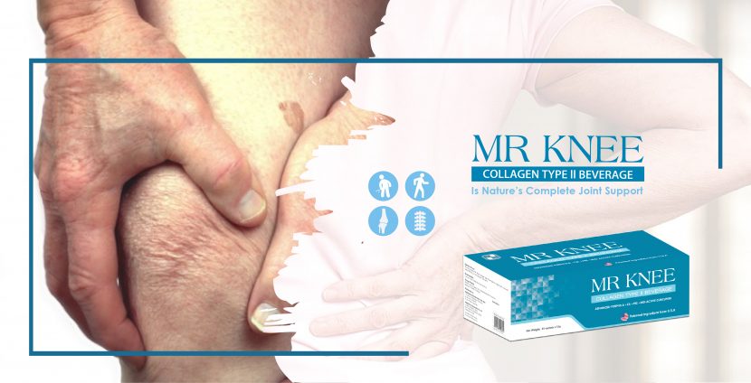 Knee pain nutrition guide for joint and bone health – MR KNEE